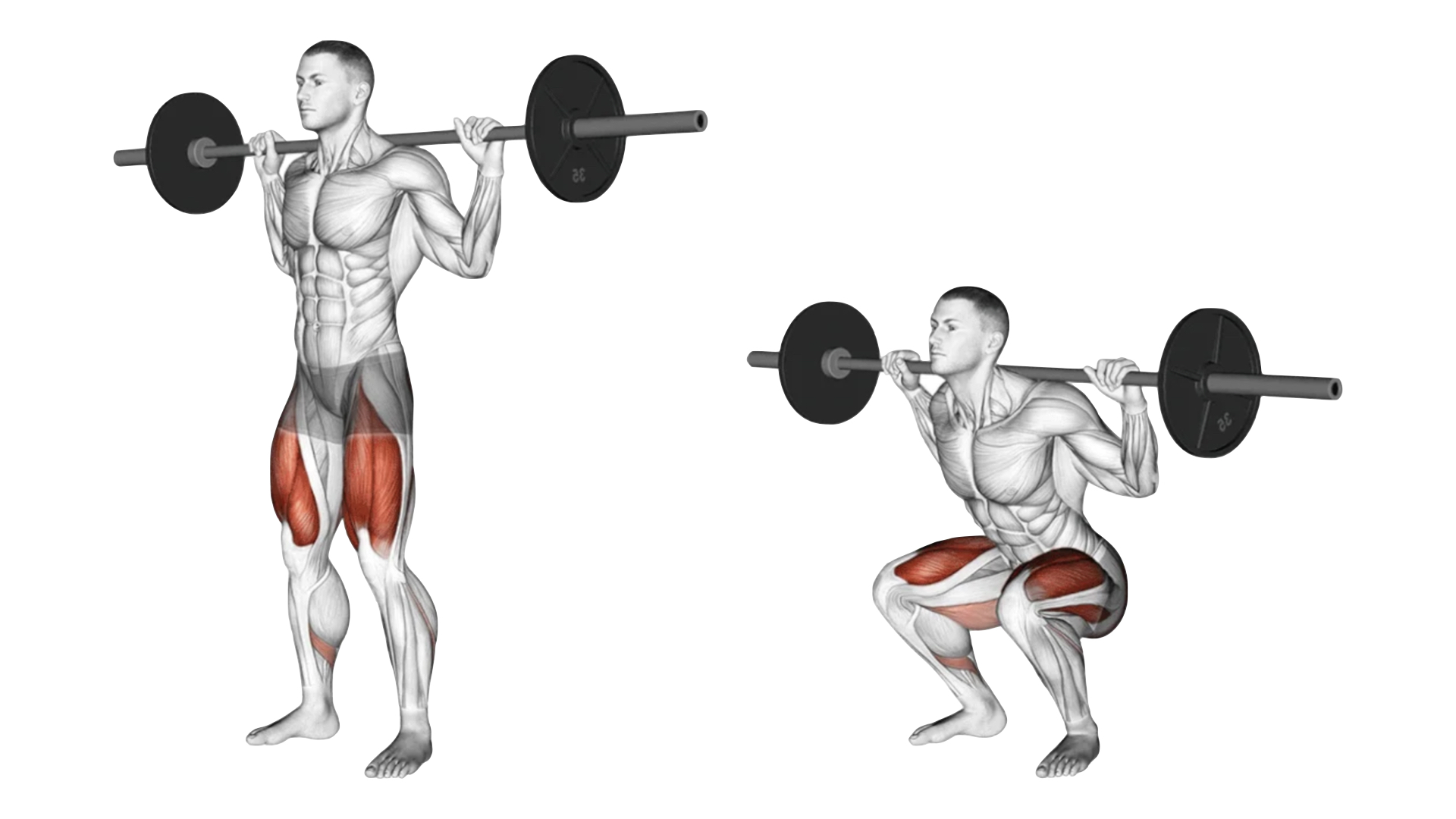 Squats